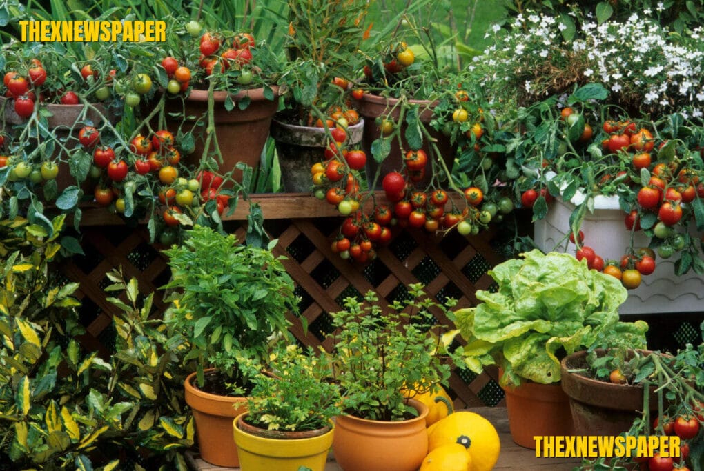 DIY Urban Food Forests: Grow a Self-Sustaining Mini Orchard at Home in 2025