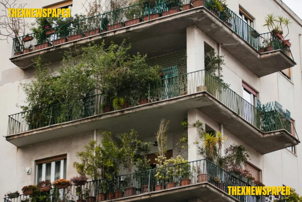 DIY Urban Food Forests: Grow a Self-Sustaining Mini Orchard at Home in 2025