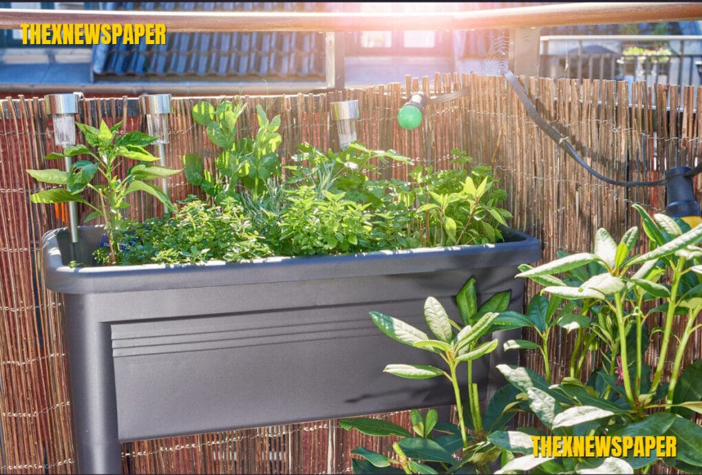 DIY Urban Food Forests: Grow a Self-Sustaining Mini Orchard at Home in 2025