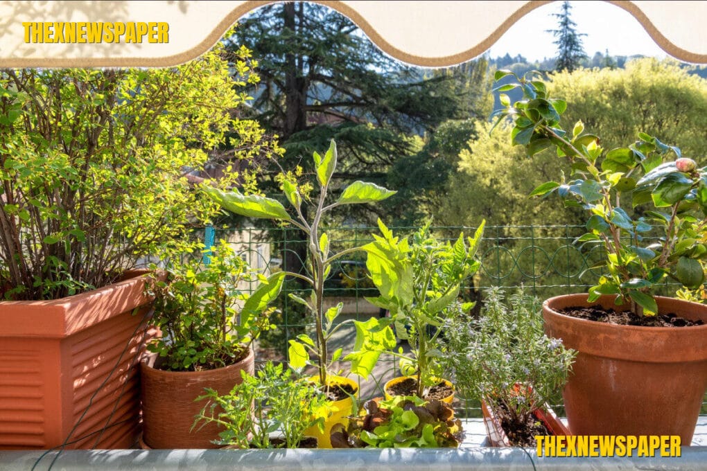 DIY Urban Food Forests: Grow a Self-Sustaining Mini Orchard at Home in 2025